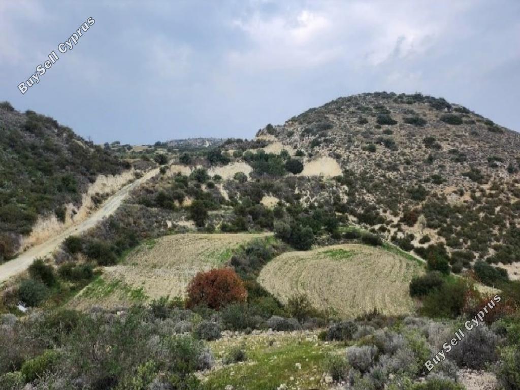 land for sale choirokoitia larnaca 8743516 image 16413480