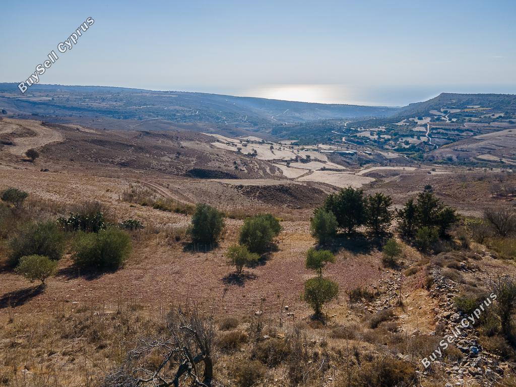 land for sale ineia paphos 8022516 image 15595914
