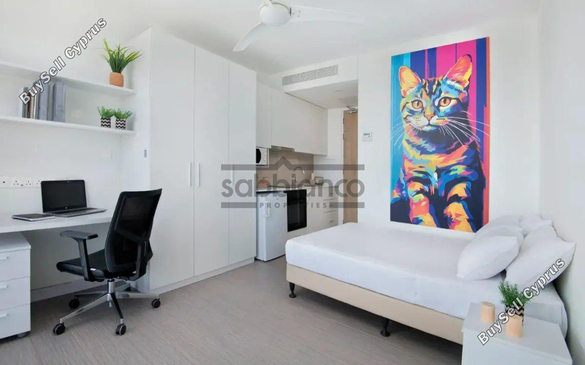 1 bedroom apartment for rent aglantzia nicosia 8748616 image 16466973