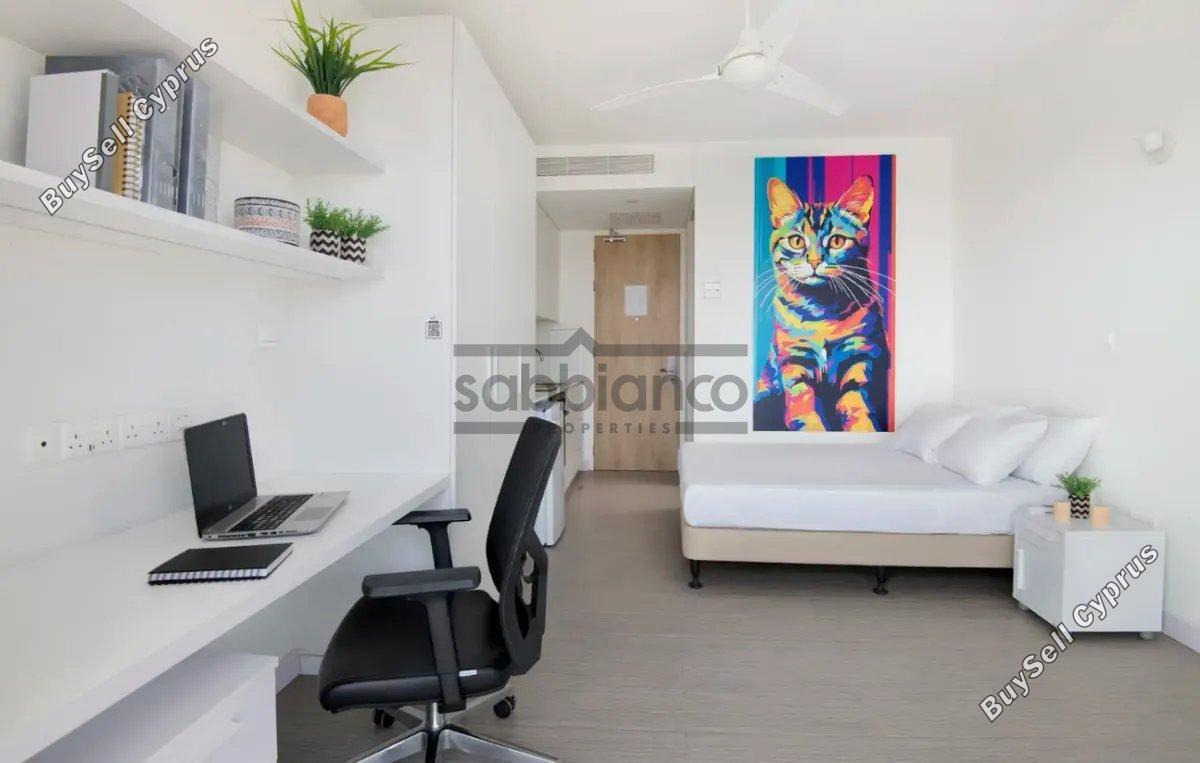 1 bedroom apartment for rent aglantzia nicosia 8748616 image 16466975