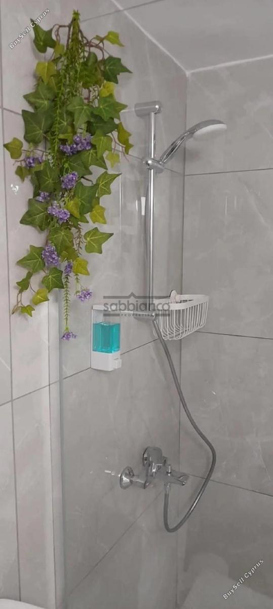 1 bedroom detached house for rent aglantzia nicosia 8749616 image 16477367