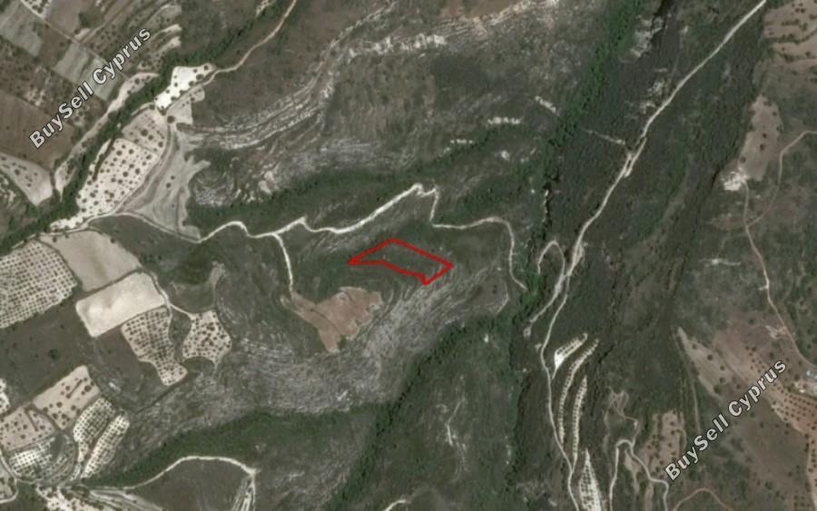 5017 SQM Land for sale in Kritou Tera, Paphos 16685697