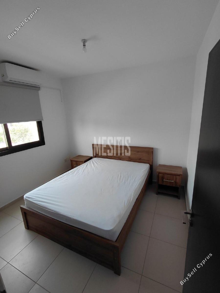 2 bedroom apartment for rent aglantzia nicosia 8495616 image 16598429