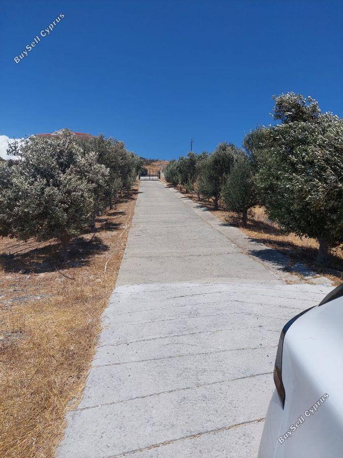 4 bedroom detached house for rent monagroulli limassol 1823616 image 6377197