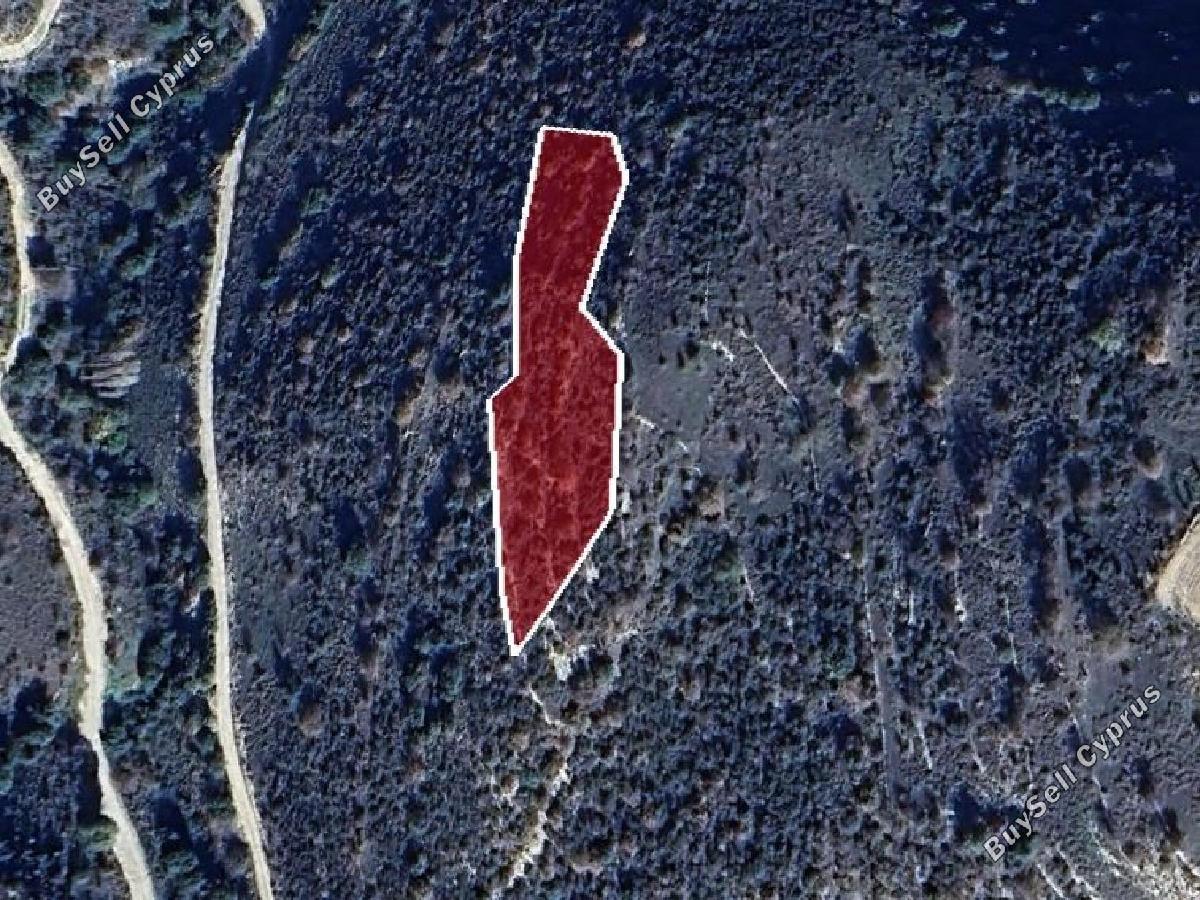 land for sale dora limassol 8726616 image 16332790