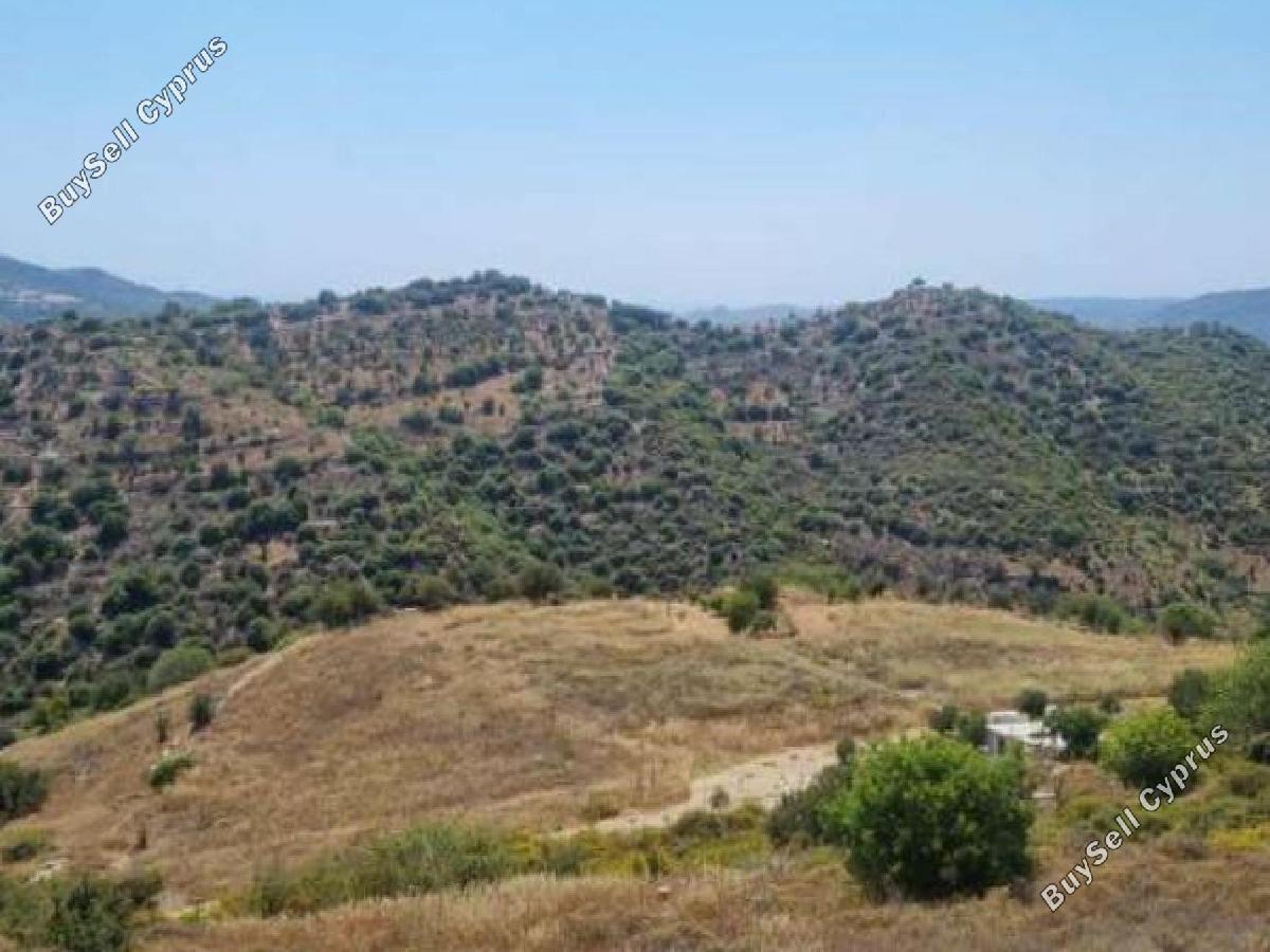 land for sale dora limassol 8726616 image 16332791