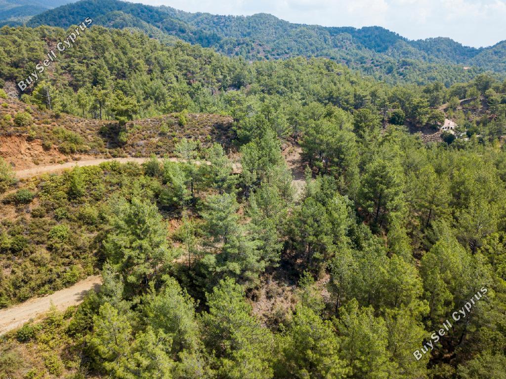 land for sale pera pedi limassol 826616 image 3002407