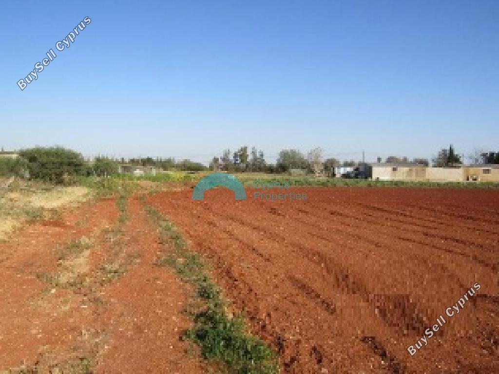 land for sale avgorou famagusta 8838716 image 17029171