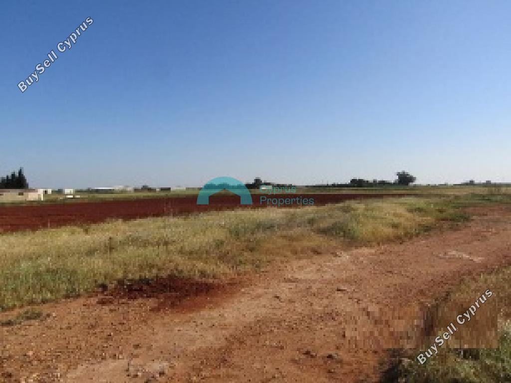 land for sale avgorou famagusta 8838716 image 17029174