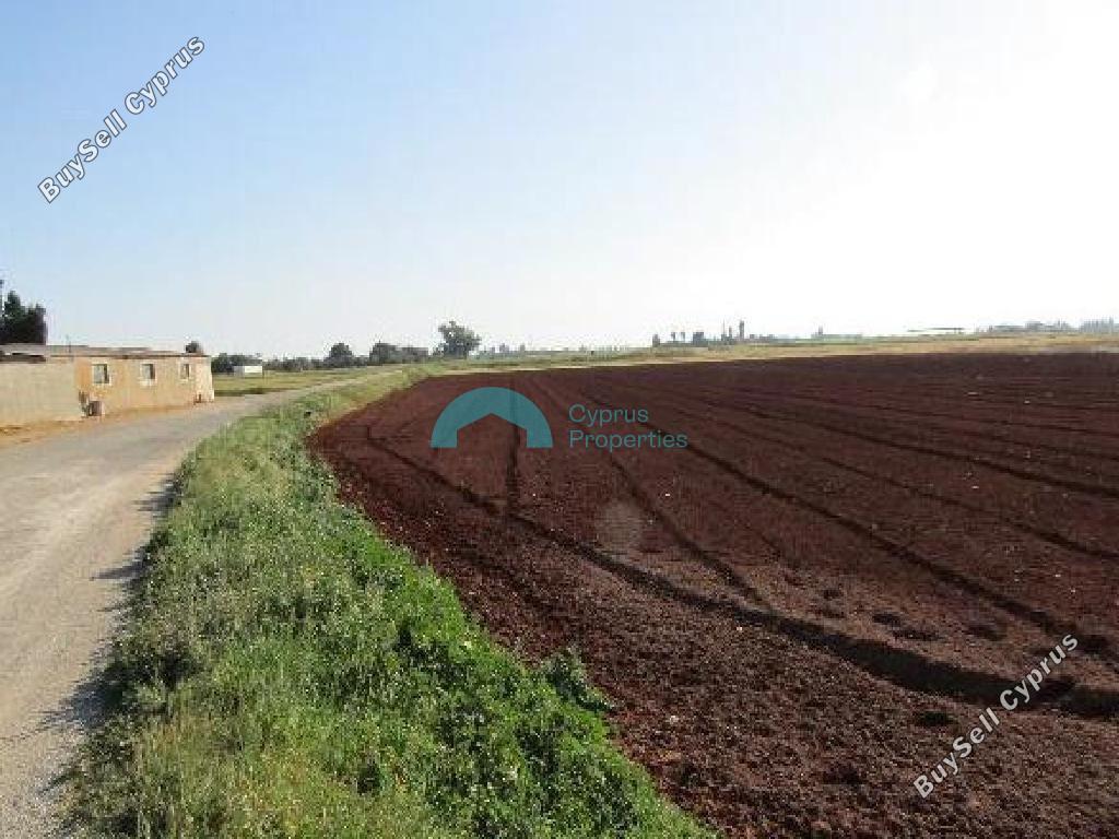 land for sale avgorou famagusta 8838716 image 17029175