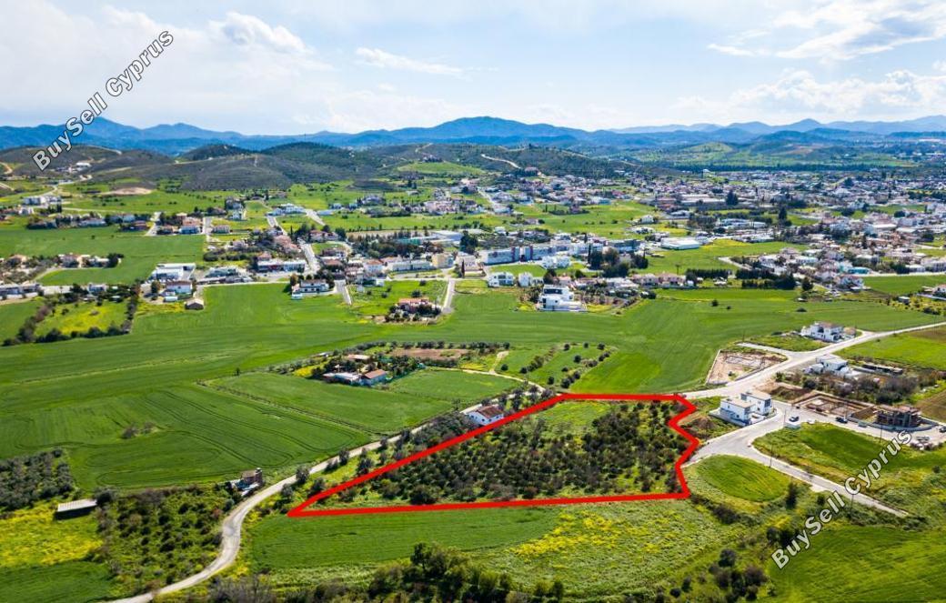 land for sale dali nicosia 839716 image 13353479