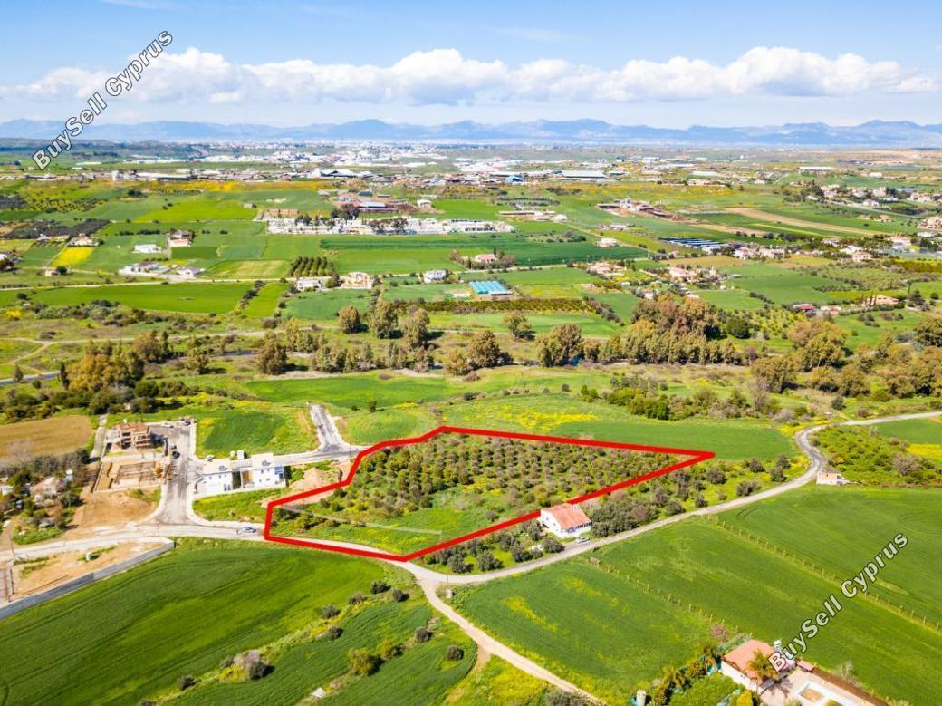 land for sale dali nicosia 839716 image 13353481