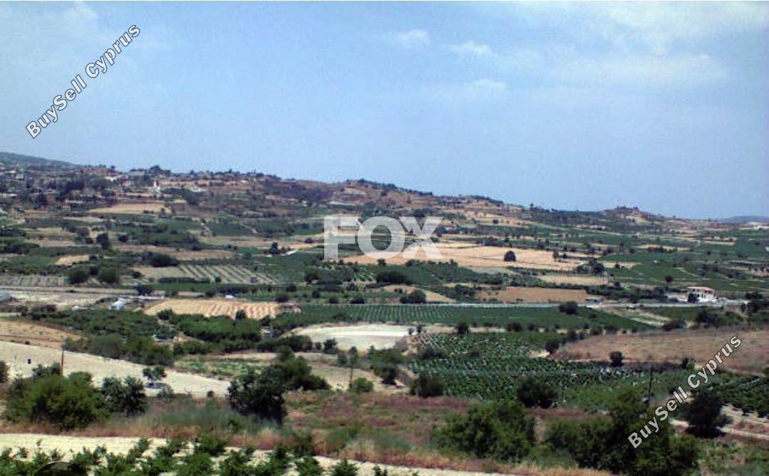 land for sale peyia paphos 1158716 image 5502266