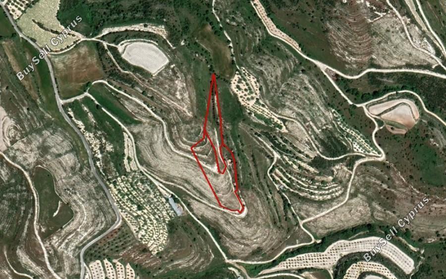 land for sale tsada paphos 1355716 image 16249032