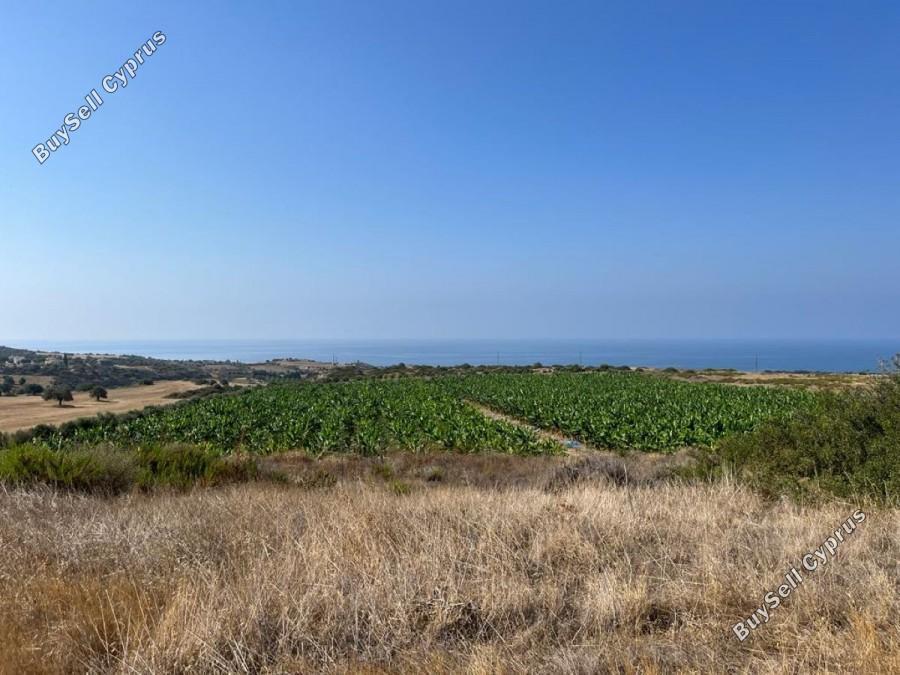 land for sale kouklia pafou paphos 7737816 image 10195174