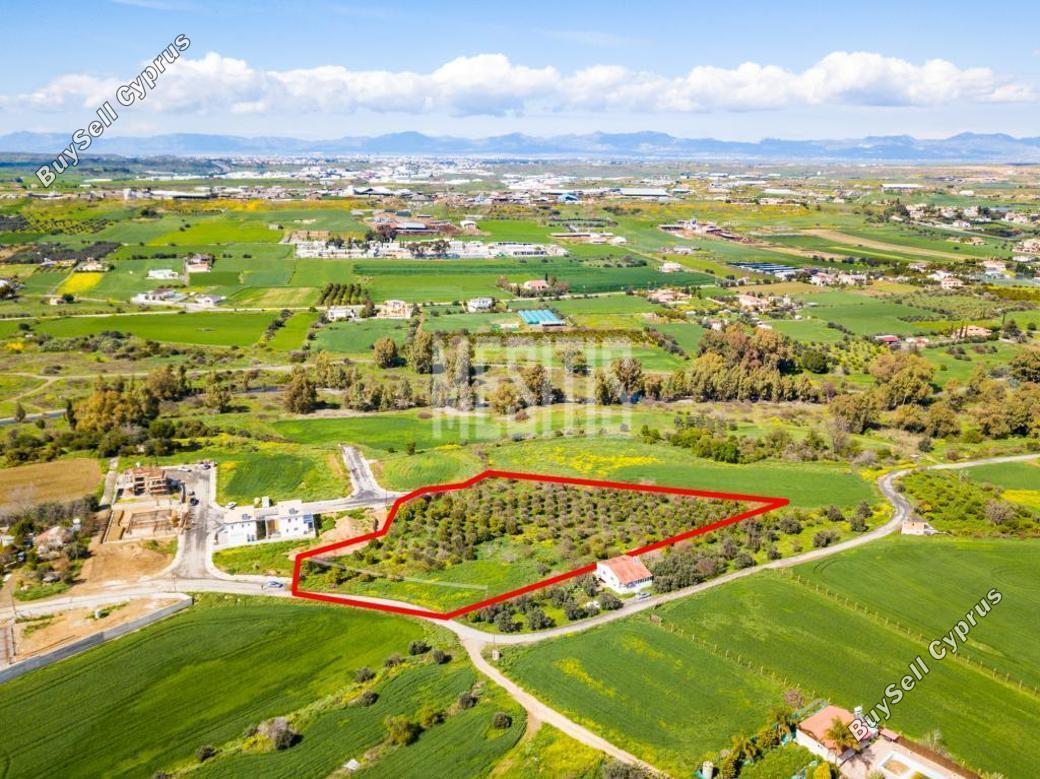 plot for sale dali nicosia 975816 image 11041954