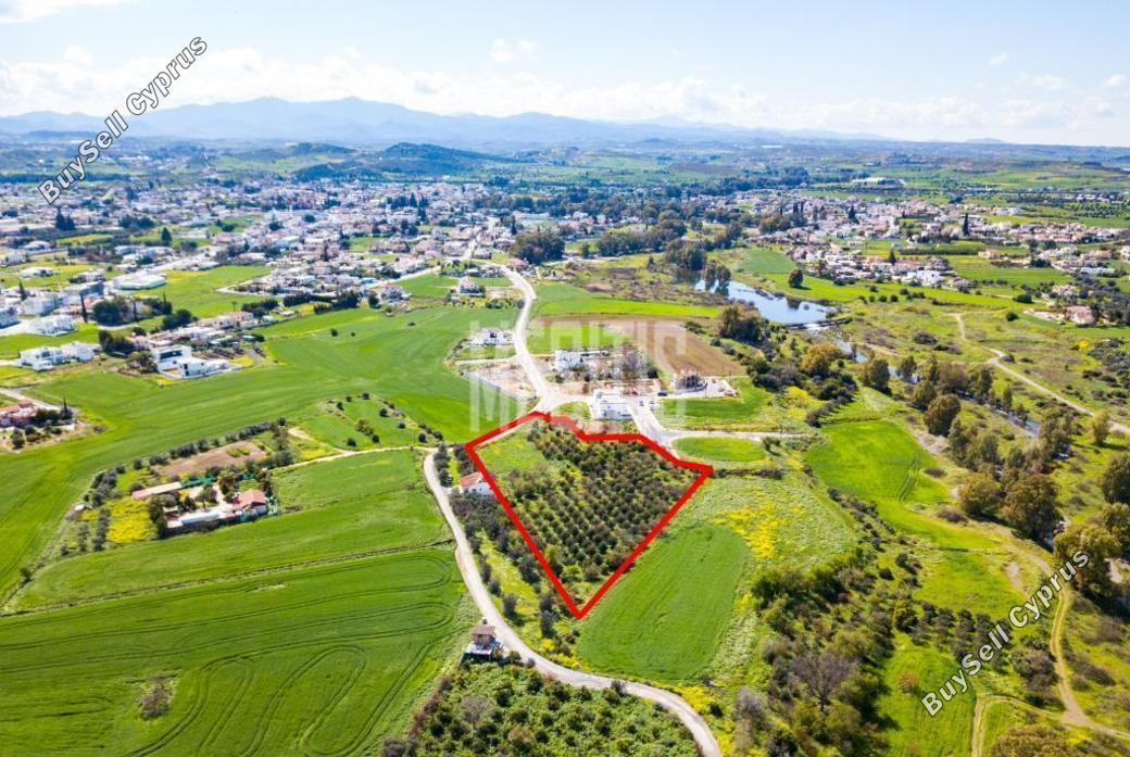 plot for sale dali nicosia 975816 image 14055457