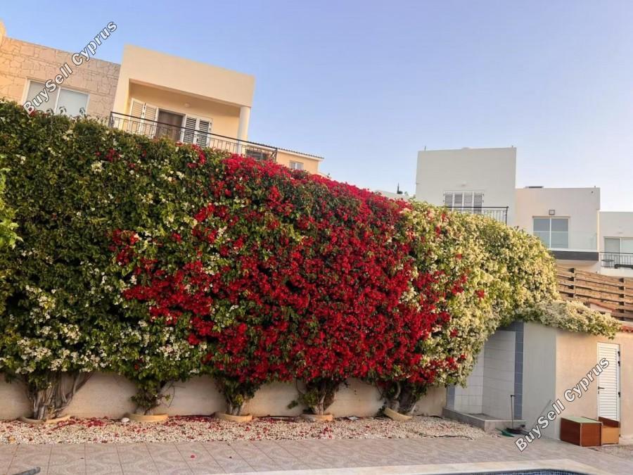3 bedroom bungalow off market peyia paphos 7733916 image 14885452