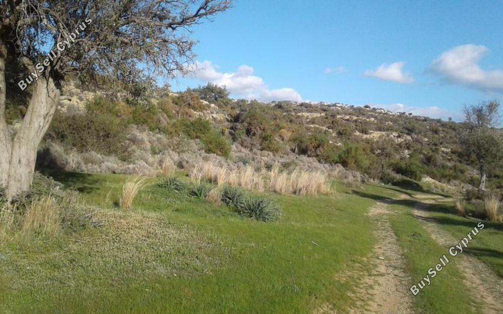 land for sale pissouri limassol 828916 image 11081792