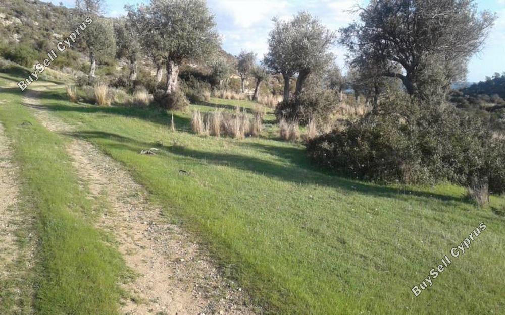 land for sale pissouri limassol 828916 image 11081794