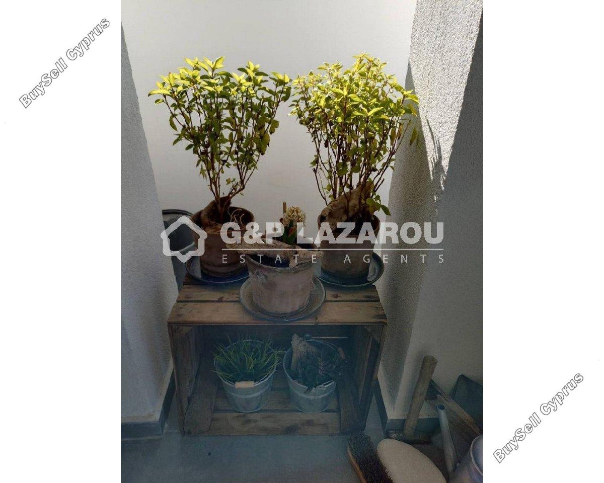 1 bedroom apartment for sale agios dometios nicosia 8249026 image 13865046