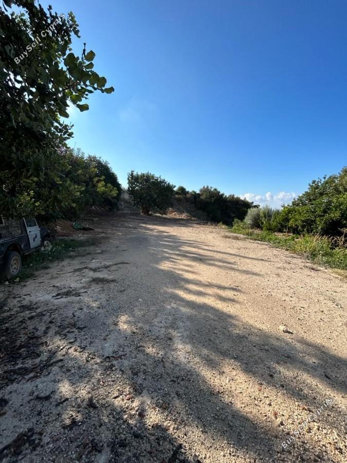 land for sale peyia paphos 8375026 image 14608080