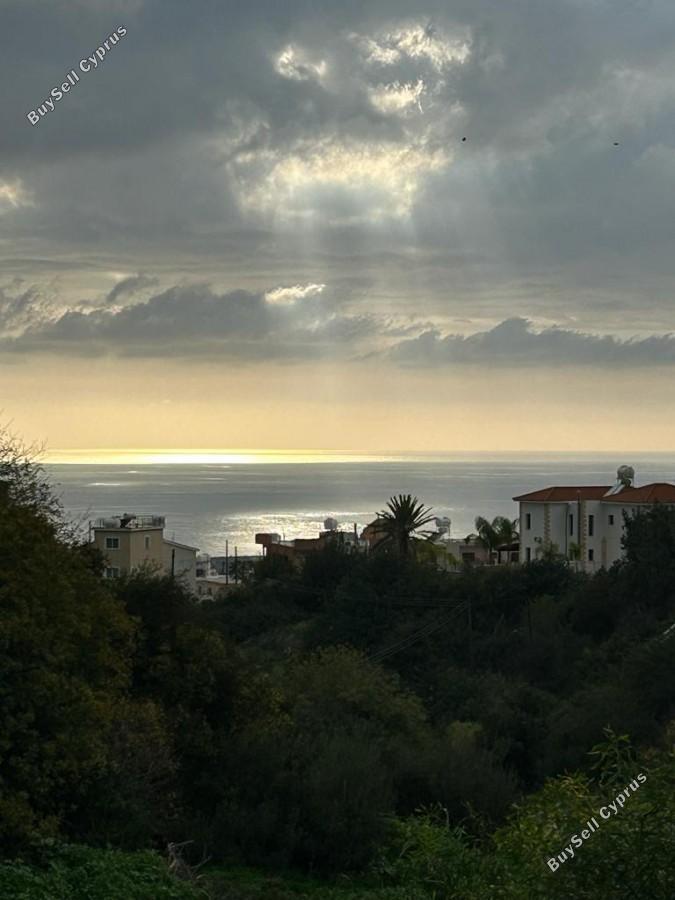 land for sale peyia paphos 8375026 image 14608083