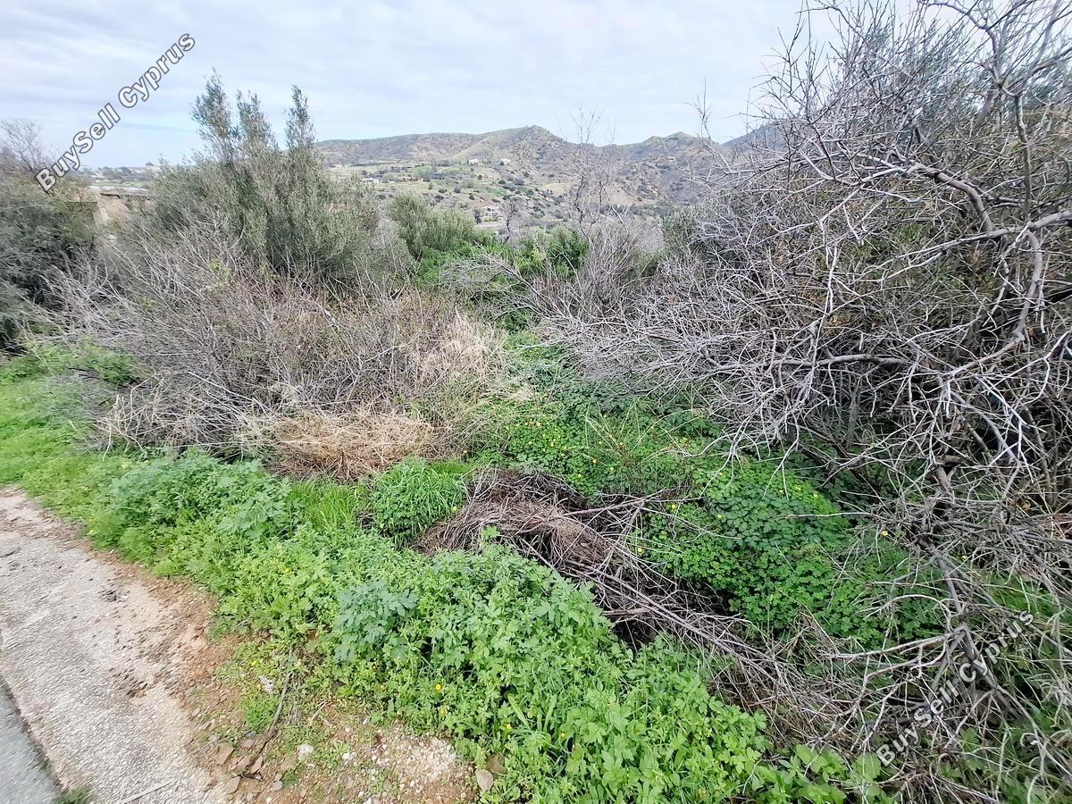 land for sale pomos paphos 1667026 image 4297424