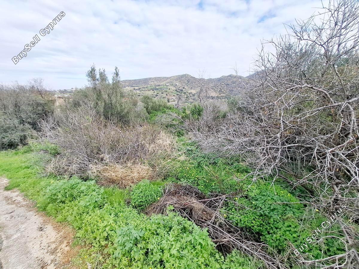 land for sale pomos paphos 1667026 image 4297425