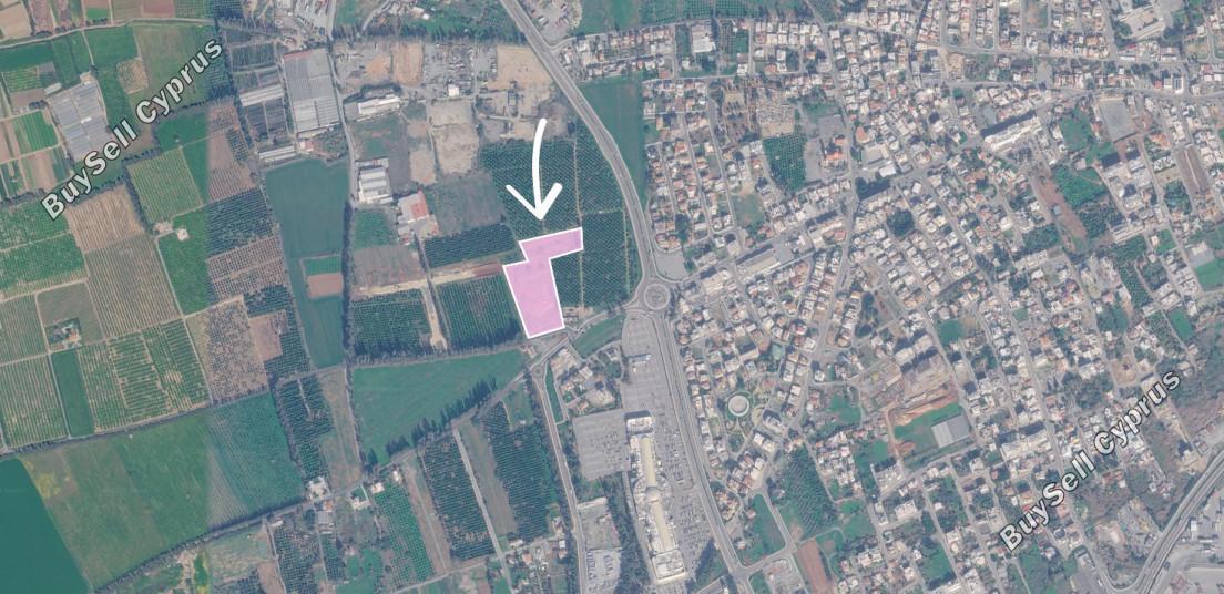 land for sale zakaki limassol 8834026 image 17015773