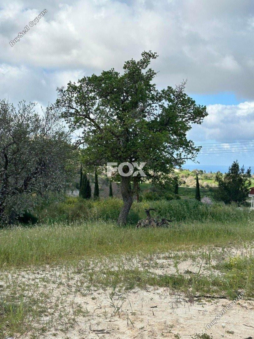 plot for sale armou paphos 7784026 image 10407078