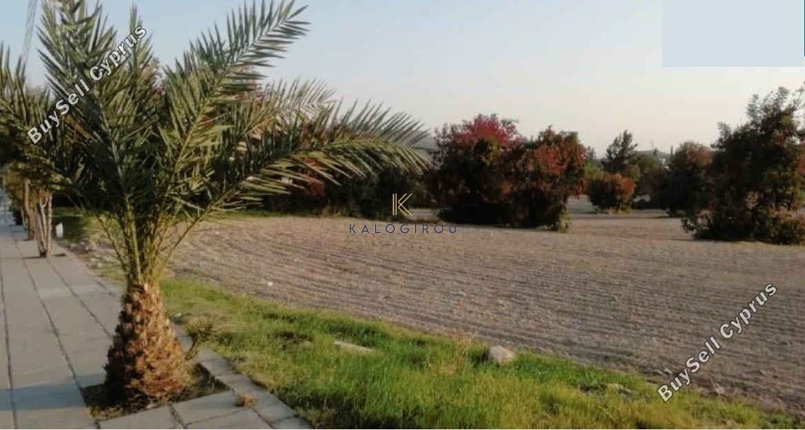 land for sale choirokoitia larnaca 1268126 image 5619748