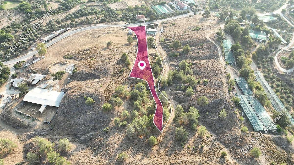 land for sale evrychou nicosia 1650126 image 5665334