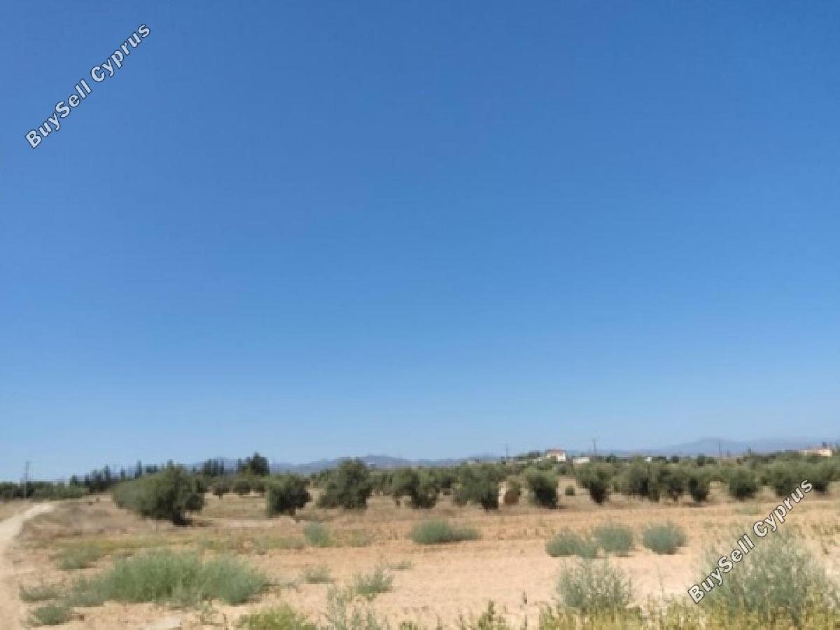 8891 SQM Land for sale in Psimolofou, Nicosia 16295217