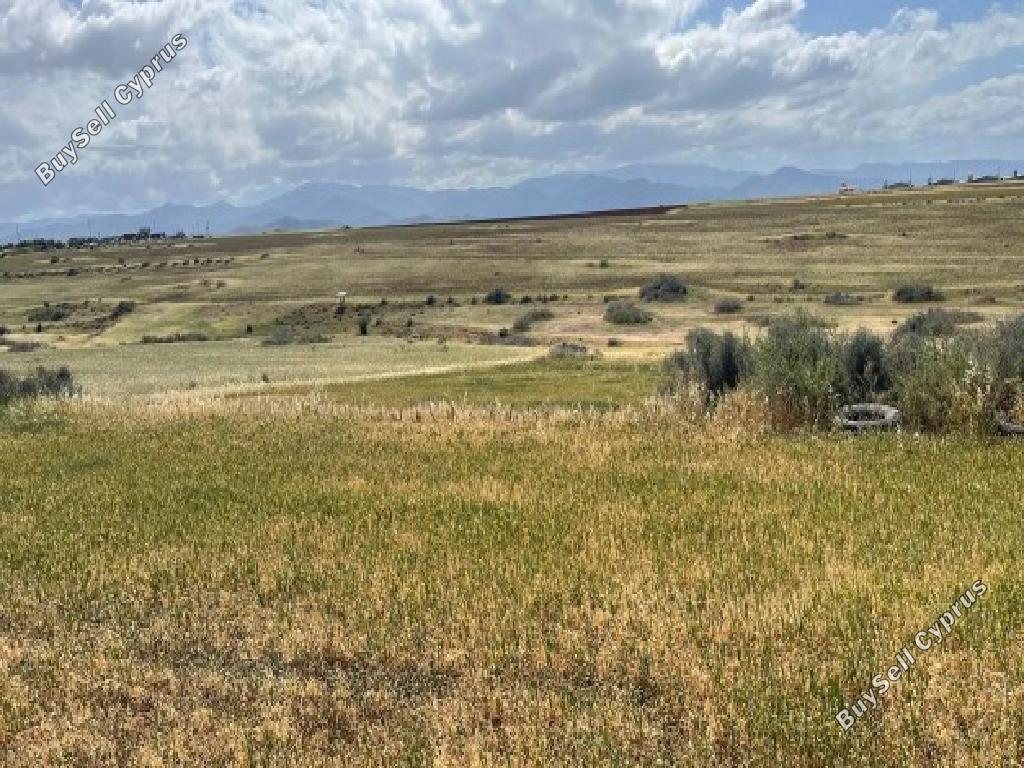 land for sale peristerona lefkosias nicosia 8343226 image 14370463
