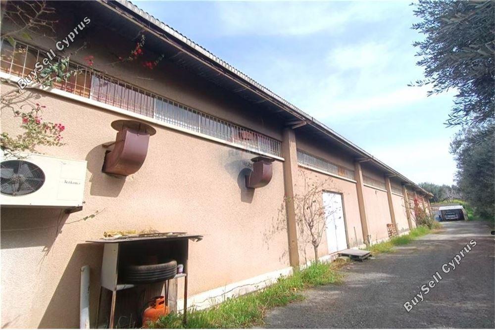 studio warehouse for sale latsia nicosia 1505226 image 15643512