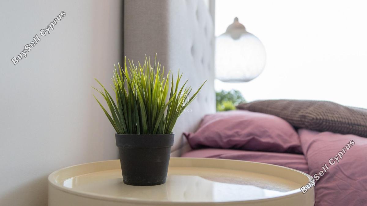 2 bedroom apartment for rent potamos germasogeias limassol 8571326 image 16307952