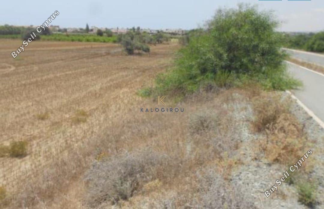 land for sale mazotos larnaca 1196326 image 6233147