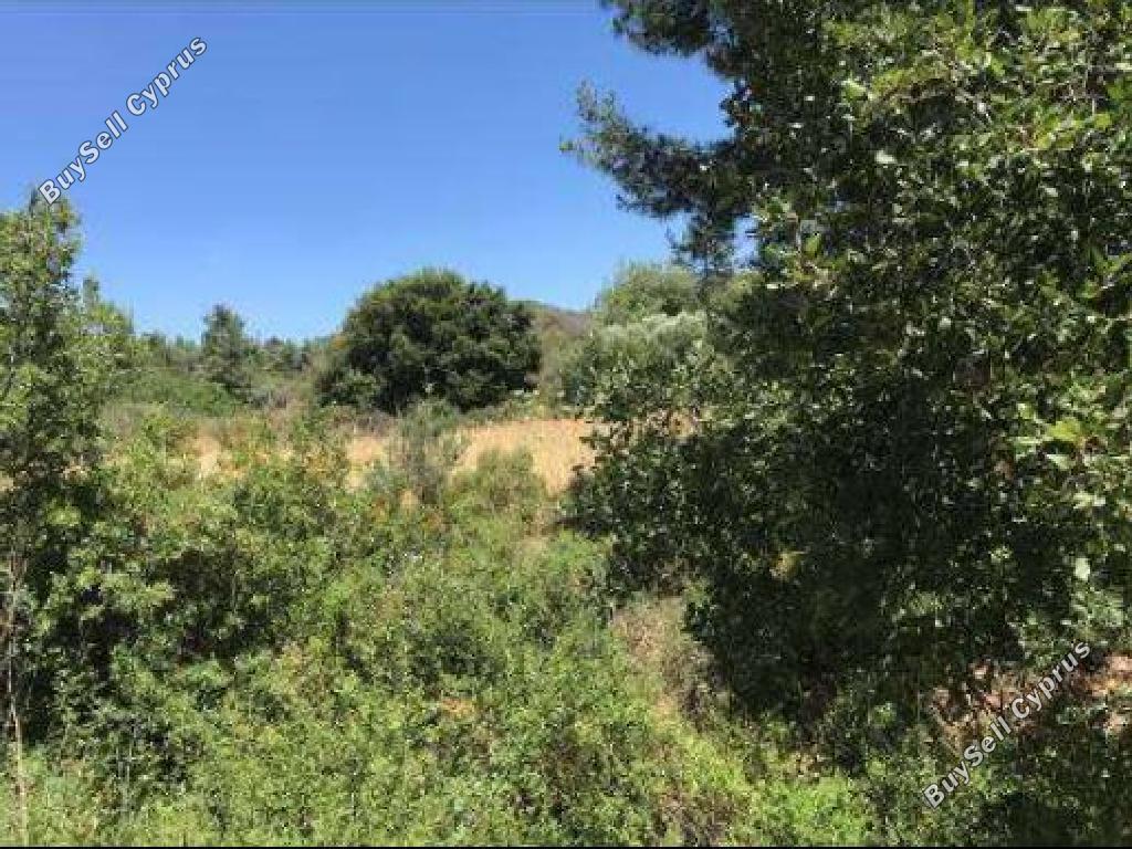 land for sale lysos paphos 1624426 image 15598297