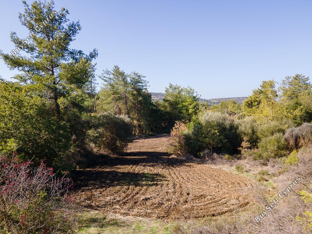land for sale lysos paphos 1624426 image 15598304