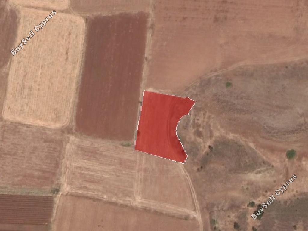land for sale orounta nicosia 947426 image 15603281