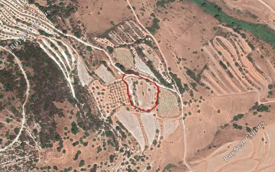 5017 SQM Land for sale in Kallepeia, Paphos 16685615