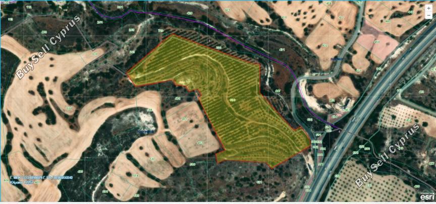 land for sale choirokoitia larnaca 1285526 image 5249706