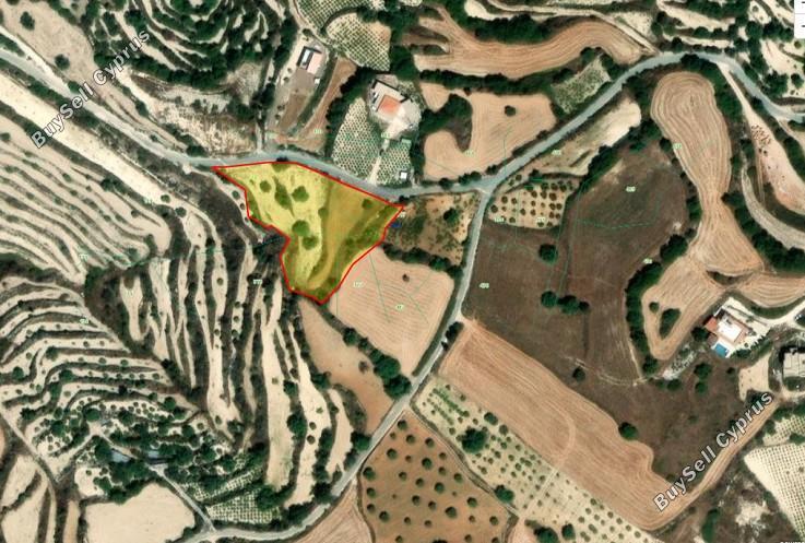 land for sale koili paphos 8645526 image 15938157