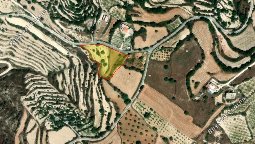 land for sale koili paphos 8645526 image 15938159