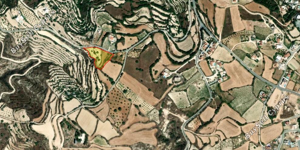 land for sale koili paphos 8645526 image 15938161