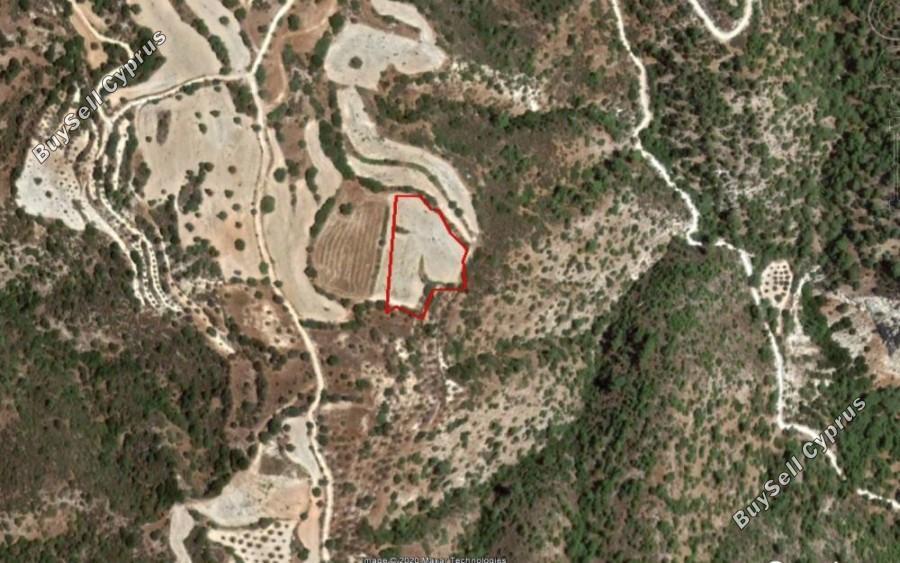 5352 SQM Land for sale in Amargeti, Paphos 15873973