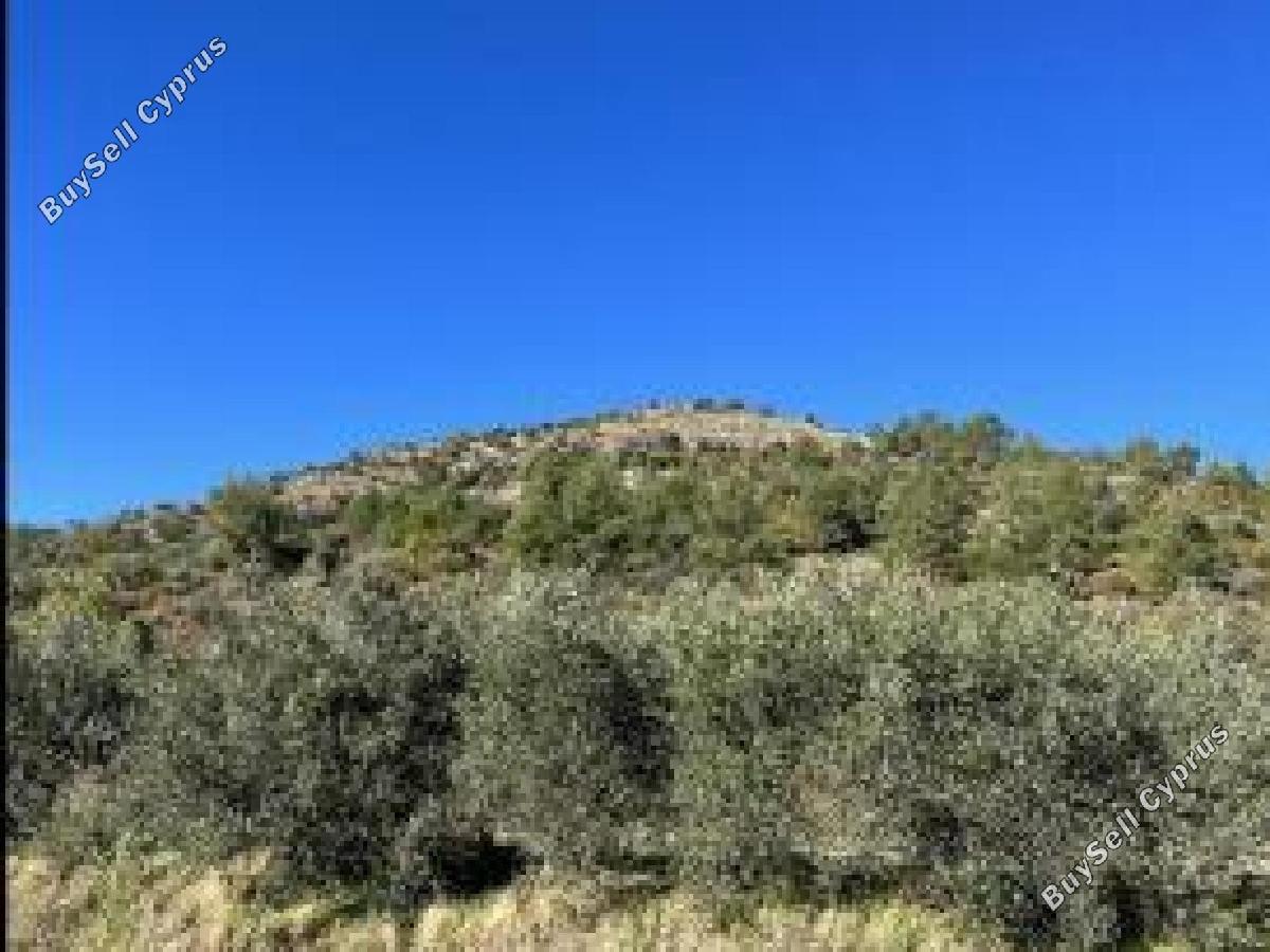 land for sale askas nicosia 8726726 image 16333545