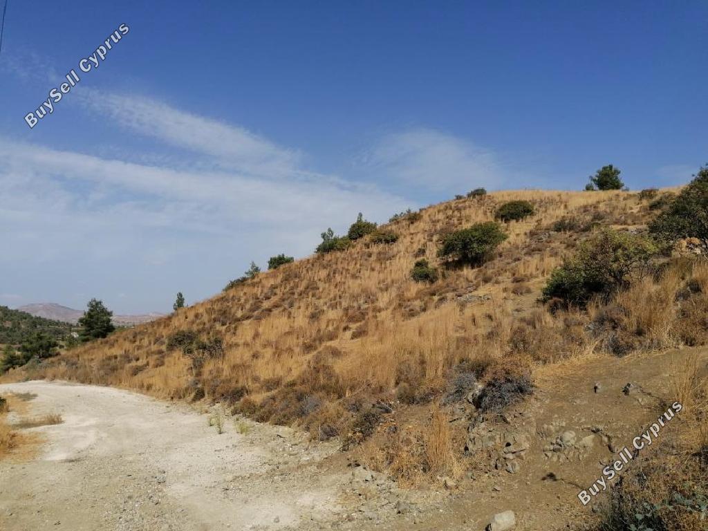 land for sale klirou nicosia 945726 image 15600620