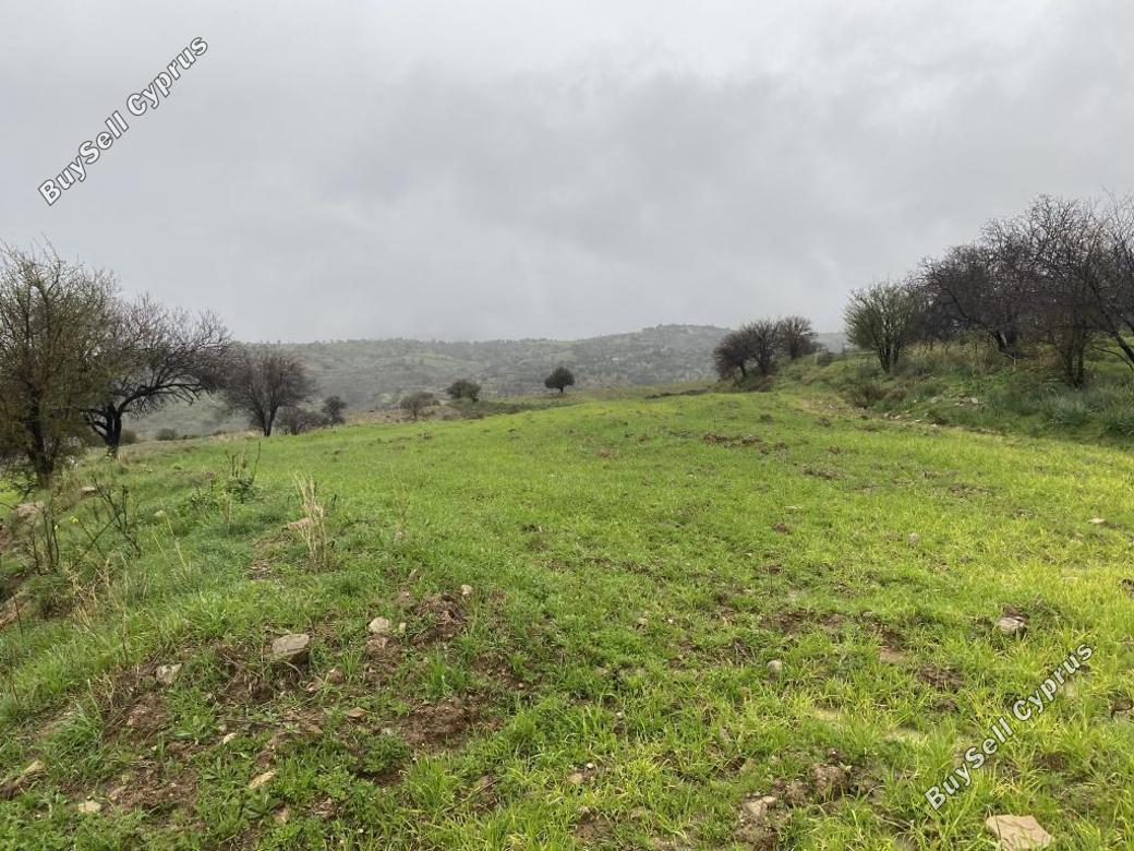 land for sale kelokedara paphos 839826 image 9904700